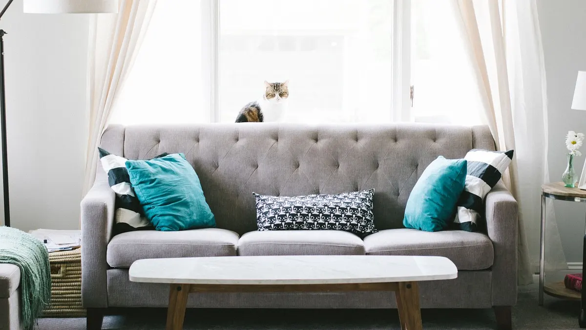 Rahasia Ampuh Membersihkan Sofa Berbahan Kain dengan Mudah